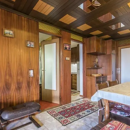 Alenka Holiday home *
