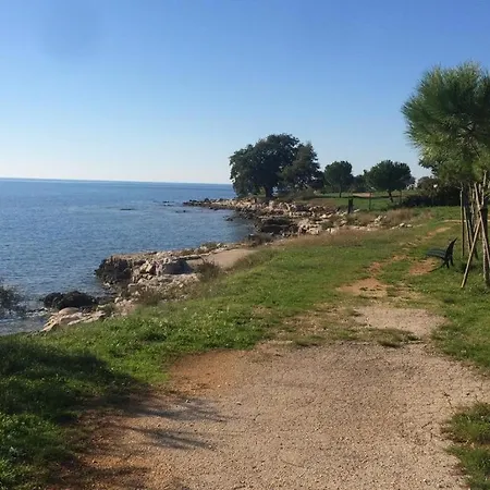 Tatil Evi Alenka